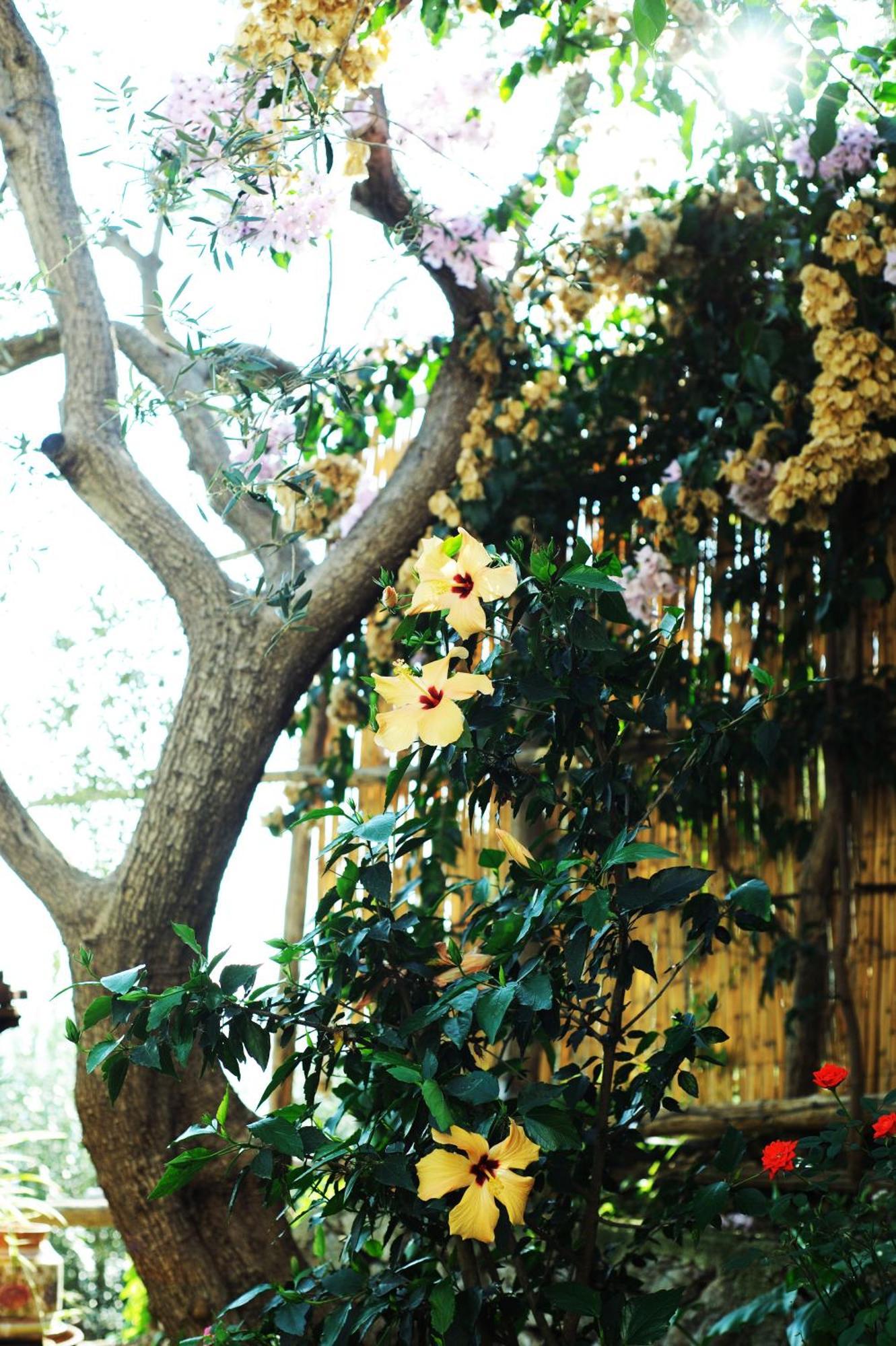 Villa Rina Amalfi Exterior foto